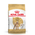 Royal Canin Caniche Adulto x 3 kg. - comprar online