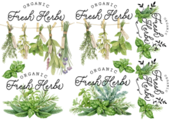 CT herbs 1