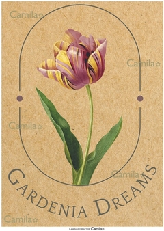 Lamina Gardenia Dreams CF108