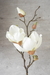 Magnolia 48 cm CREAM