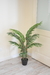 Planta Areca 120 cm - comprar online