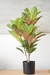Planta Crotton 61 cm - comprar online