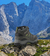 Imagen de Botas Hombre Nexxt Performance Trek 2