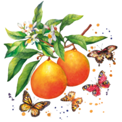 Servilletas Para Decoupage Modelo Naranjo en Flor Por Unidad