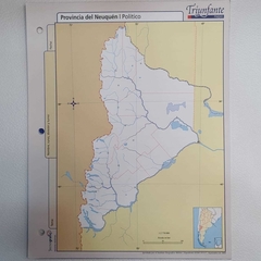 Mapa Nro 3 Por Unidad - Provincia Del Neuquen Político