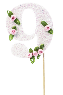 Numero con flores y givre en internet