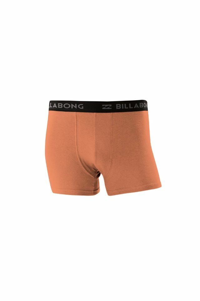 Boxer All Day Color