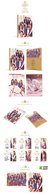 GFRIEND - SNOWFLAKE - comprar online