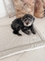 Pet Pillow OUTLET - comprar online