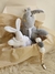 Muñeco de Plush Conejo Grande en internet