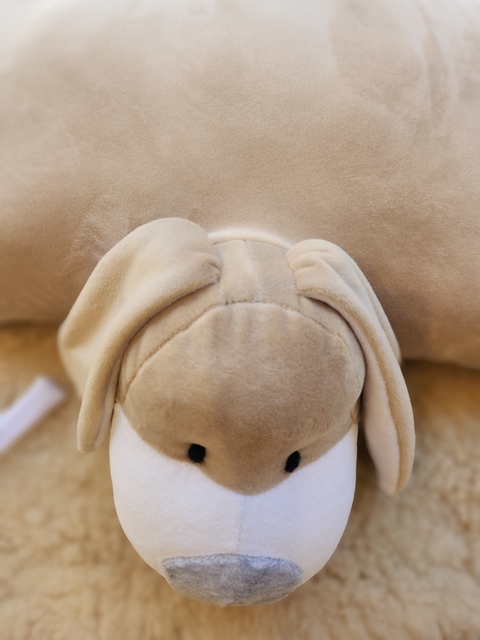 Muñeco almohadón de Plush Perro