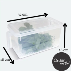 Contenedor Organizador con Manija, tapa y escurridor FRESH (pescado, carnes, frutas y verduras) - comprar online