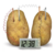 Kit Ciencia Infantil Potato Clock FM275 en internet