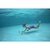Calamares De Buceo Hydro Swim Bestway art26031 - Cachavacha Jugueterías