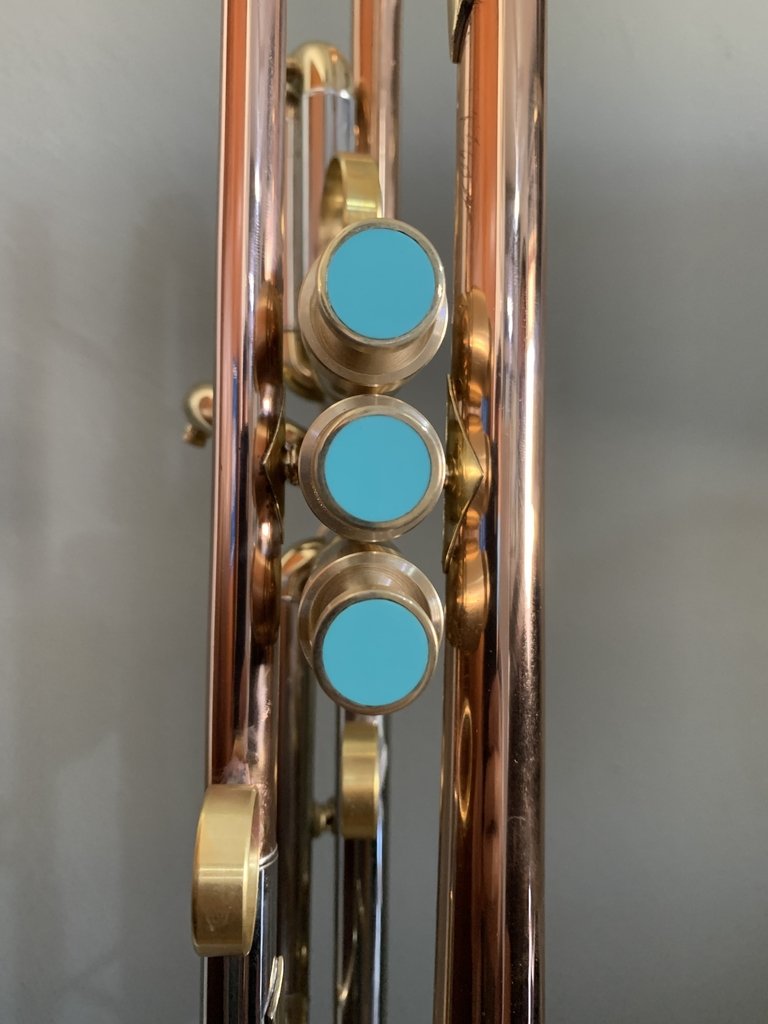 Trumpet raw brass buttons with stones - Padovani Music