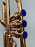 Botões trompete verniz com pedra azul na internet