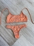 Bikini Top Tiger en internet