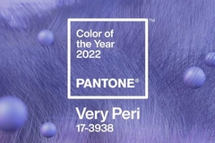 Banner de la categoría Color Pantone® 2022
