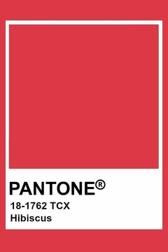 Bary - Watermelon Pantone® 17-1654 - buy online