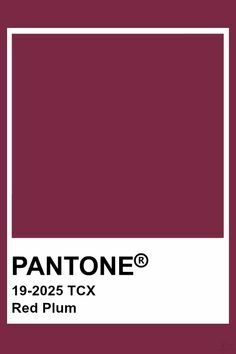 Maxine Alfaiataria - Borgoña Pantone® 19-2025 - comprar online