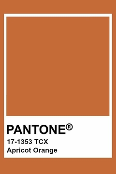Talassa - Laranja Damasco Pantone® 17-1353 - comprar online