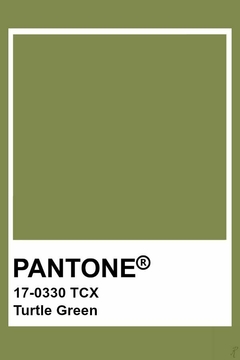 Noir - Verde Oliva Pantone® 17-0330 - comprar online