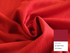 Balenciaga - Red Pantone® 19-1557 on internet