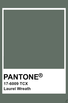 Cupucotton - Verde Militar Pantone 17-6009 na internet