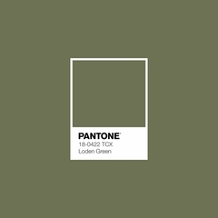 Lilly - Military Green Pantone® 18-0422 on internet