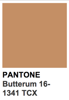 Madeleine - Caramel Pantone® 16-1341 - buy online