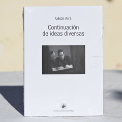 Continuación de Ideas Diversas - Aira César / Ed: Ediciones UDP